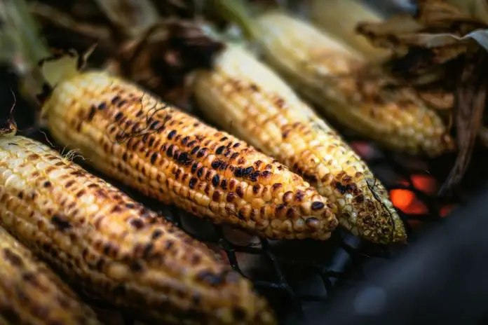 Corn elote