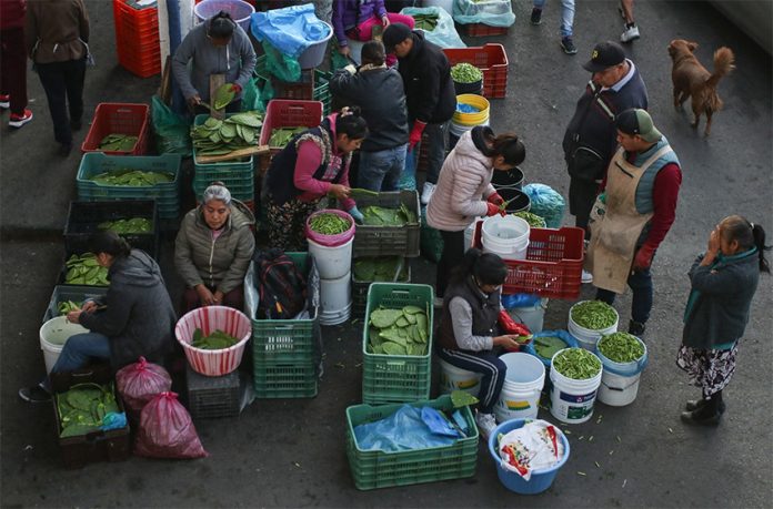 Female vendors sell prickly pear cactus pads at Mexico City's nopal distribution center, representing the increase in unemployment among women.