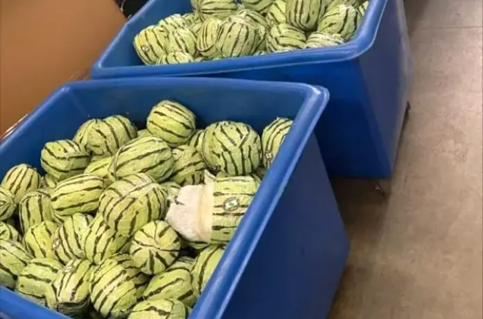 Meth-filled watermelons in large containers