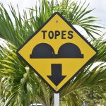 Warning sign for topes in front of a palm tree