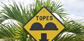 Warning sign for topes in front of a palm tree
