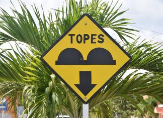 Warning sign for topes in front of a palm tree