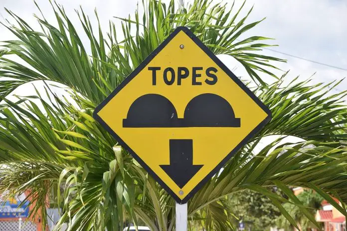 Warning sign for topes in front of a palm tree