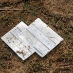 After three consecutive years at record highs, the number of migrants applying for refugee status in Mexico has sharply declined.