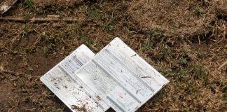 After three consecutive years at record highs, the number of migrants applying for refugee status in Mexico has sharply declined.