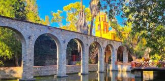 Where to Live in Mexico guide highlights