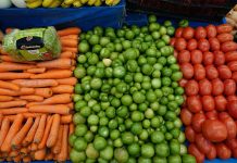 A farmer's market display of hundreds of carrots, tomatillos and tomatoes