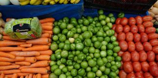 A farmer's market display of hundreds of carrots, tomatillos and tomatoes
