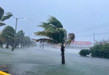 Helene formed over the Caribbean Sea on Tuesday morning and quickly grew in strength, fueled by warm waters off the Gulf Coast.