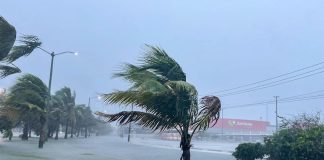 Helene formed over the Caribbean Sea on Tuesday morning and quickly grew in strength, fueled by warm waters off the Gulf Coast.