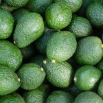 Harvested avocados in a pile