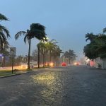 Empty street in Cancun with wind-blown palm trees and minor flooding