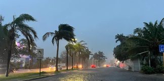 Empty street in Cancun with wind-blown palm trees and minor flooding