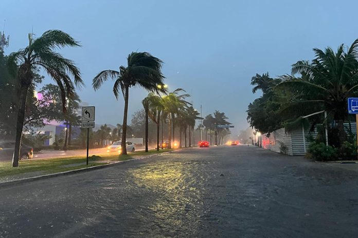 Empty street in Cancun with wind-blown palm trees and minor flooding