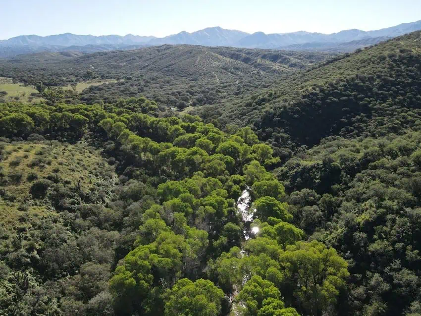 Aerial shot of Cocóspera River