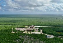 The Jaguar Park spans nearly 2,250 hectares and encompasses protected natural areas such as beaches, forests, the Tulum Archaeological Zone and the Tulum National Park.