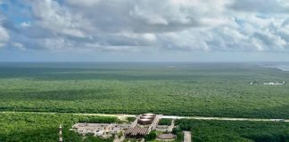 The Jaguar Park spans nearly 2,250 hectares and encompasses protected natural areas such as beaches, forests, the Tulum Archaeological Zone and the Tulum National Park.