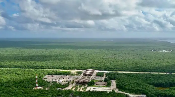 The Jaguar Park spans nearly 2,250 hectares and encompasses protected natural areas such as beaches, forests, the Tulum Archaeological Zone and the Tulum National Park.