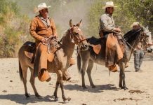 Two Baja California cowboys on horses