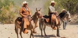Two Baja California cowboys on horses