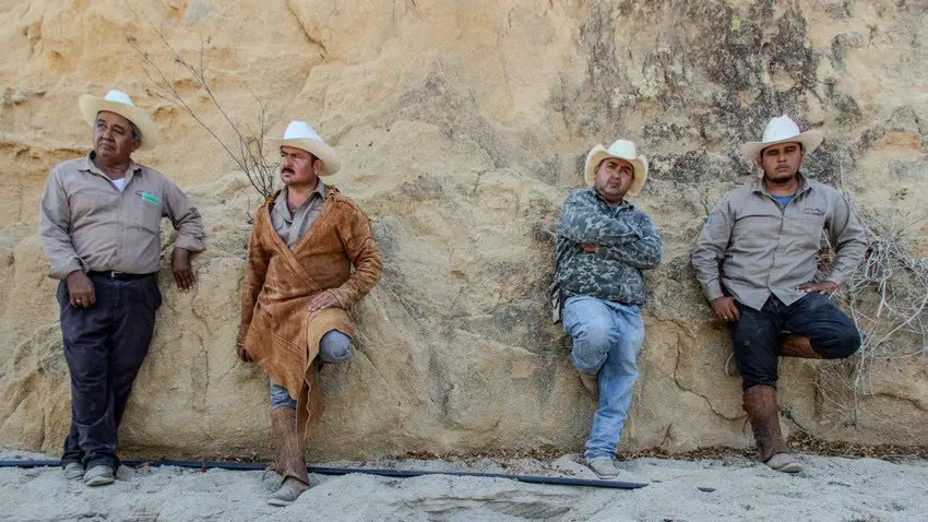 Four Baja California cowboys leaning against a wall