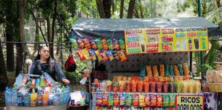 A Mexican woman stands behind a vendor stand. In front of her is a metal tub with bottled drinks and beside her a stand packed with packages of chips and plastic containers of chopped fruit for sale