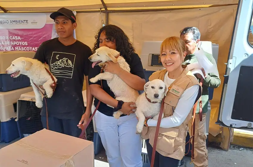 A government worker in a Cepanef vest poses with Chalco pet owners holding their pets