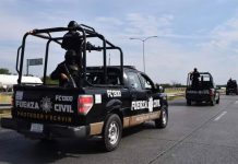 A convoy of several Nuevo León state police patrol vehicles drives down a highway