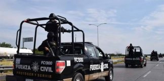 A convoy of several Nuevo León state police patrol vehicles drives down a highway