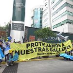 Protesters dressed in shark and dolphin costumes stand in front of Mexico's Environment Ministry building with a sign saying in Spanish, "Let's protect our whales."