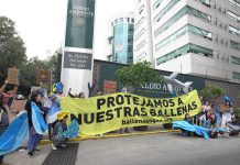 Protesters dressed in shark and dolphin costumes stand in front of Mexico's Environment Ministry building with a sign saying in Spanish, "Let's protect our whales."