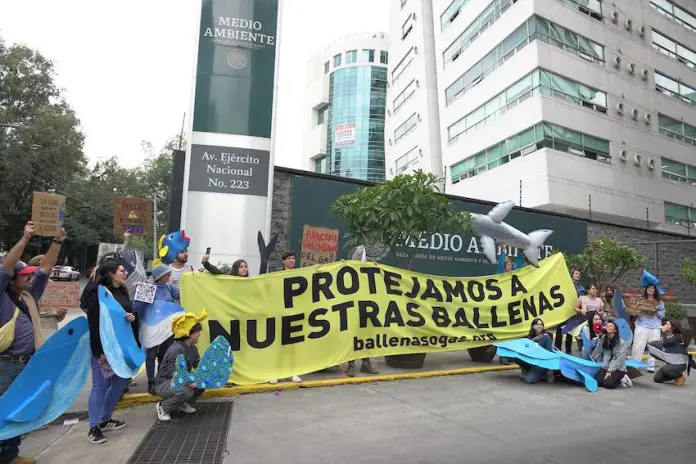 Protesters dressed in shark and dolphin costumes stand in front of Mexico's Environment Ministry building with a sign saying in Spanish, 