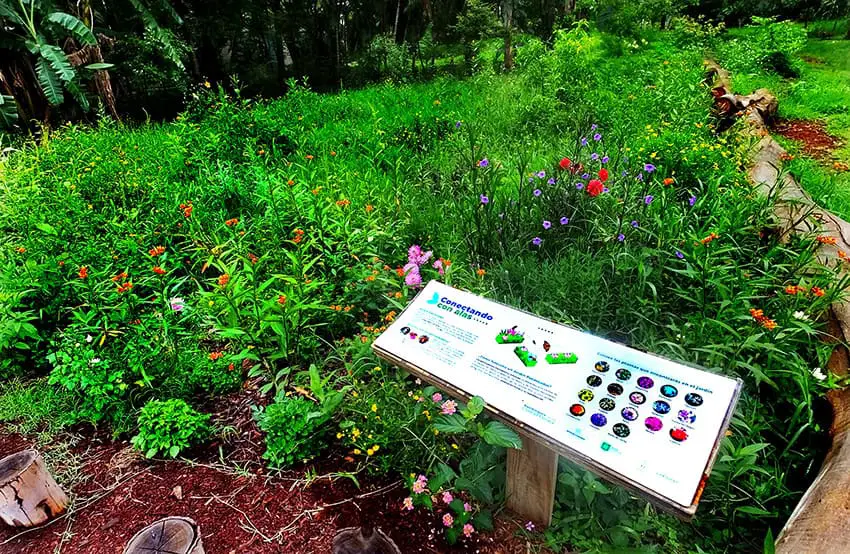 Pollinator garden with explanatory sign