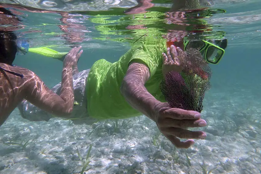 Fotografía submarina de una persona que usa gafas de snorkel y sostiene plantas submarinas entre sus dedos