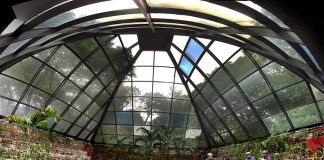 Orchidarium at Parque Agua Azul