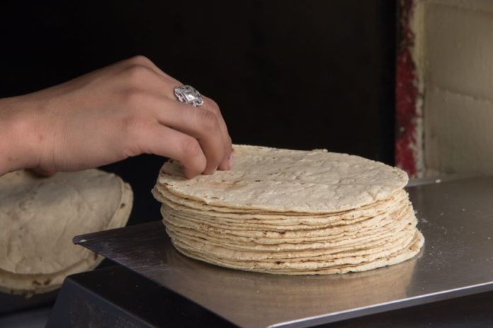 A kilo of corn tortillas