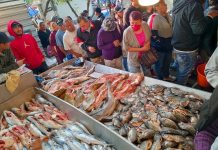 People buying fish at a market