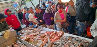 People buying fish at a market