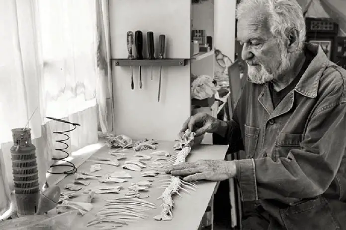 Black and white photo of artist Alan Glass laying out the skeleton of some sort of long fish-like animal in his art studio.