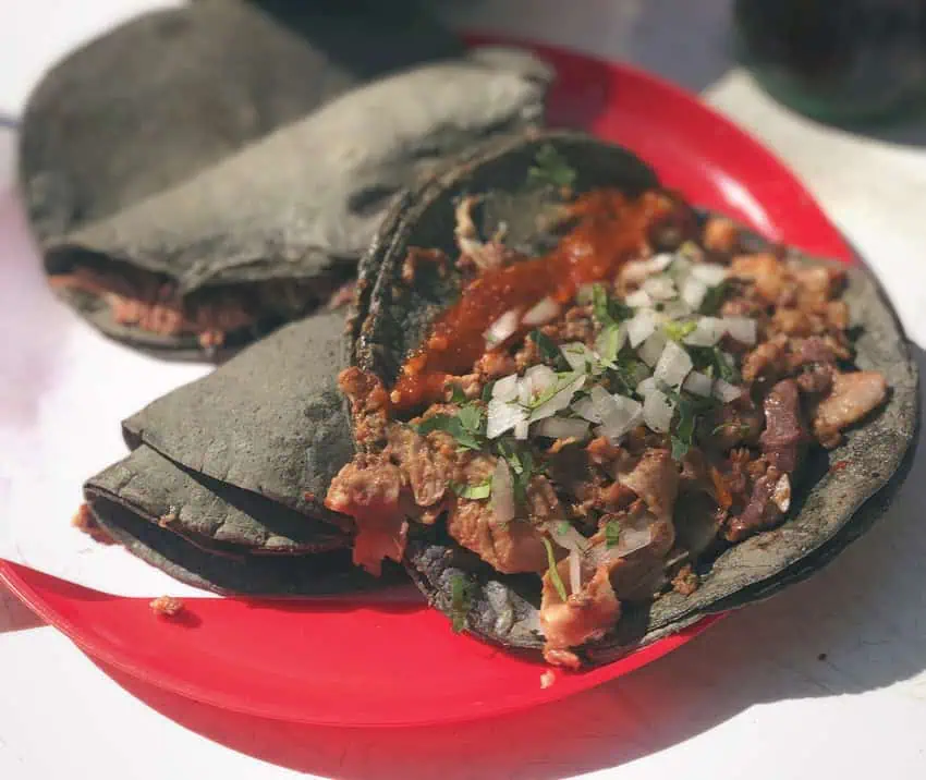 Barbacoa tacos on a red plate