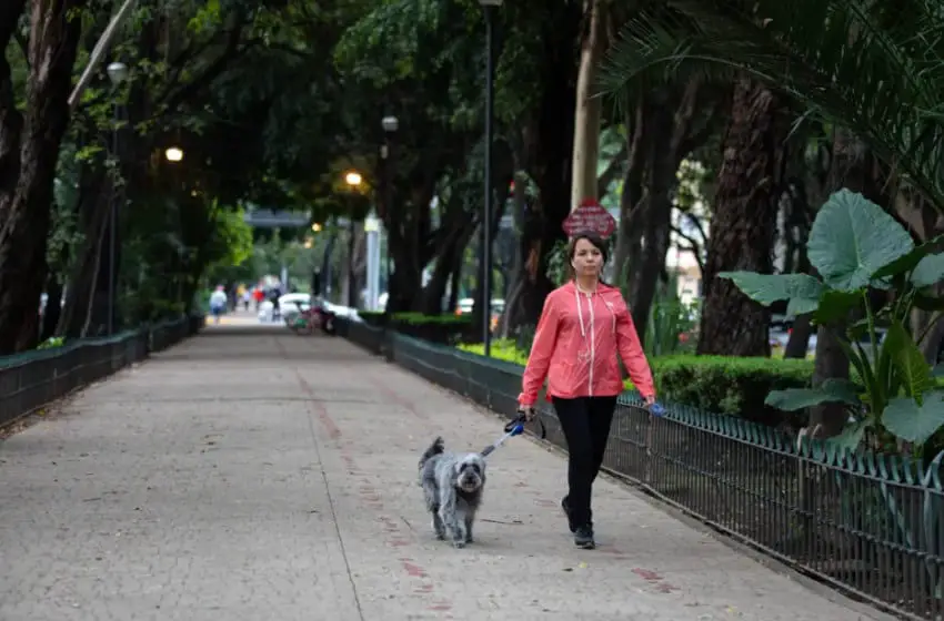 Woman walking with a dog in La Condesa