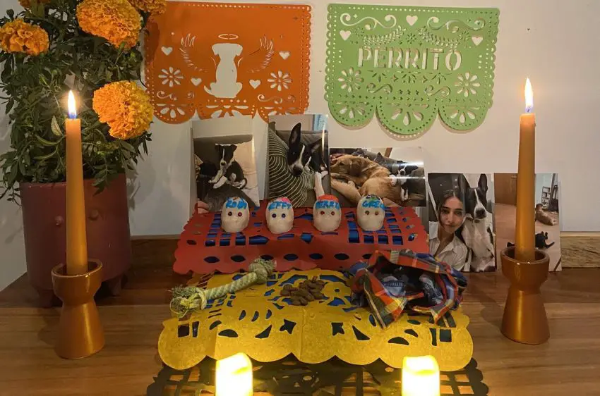 A Day of the Dead altar for a pet