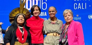 Alicia Bárcena represented Mexico at the 16th Conference of the Parties on Biological Diversity (COP) in Cali, Colombia.