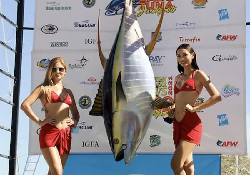 Los Cabos Tuna Jackpot