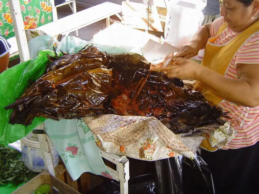 Zacahuil, enormous tamal produced through pit cooking.