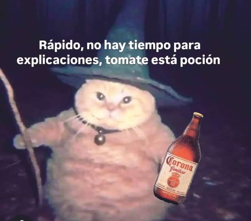 Gato naranja gordo con sombrero de mago y sosteniendo un bastón y una caguama de Corona