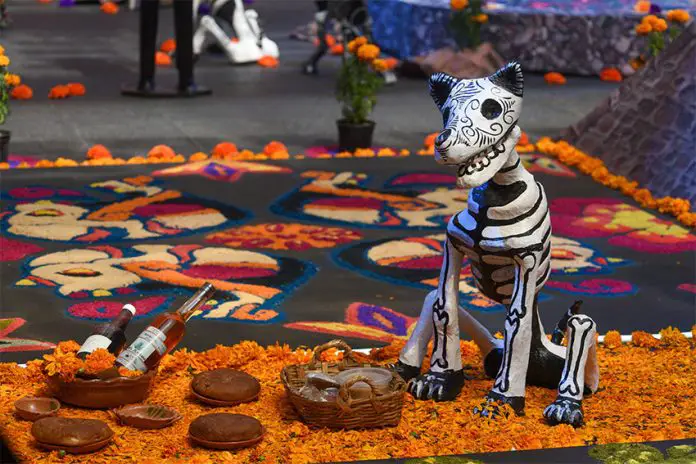 A paper mache dog skeleton sits on a bed of marigolds at a Day of the Dead altar in Mexico City.