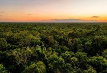 Bird's-eye view of Campeche