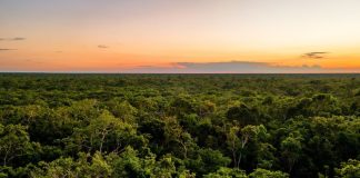 Bird's-eye view of Campeche