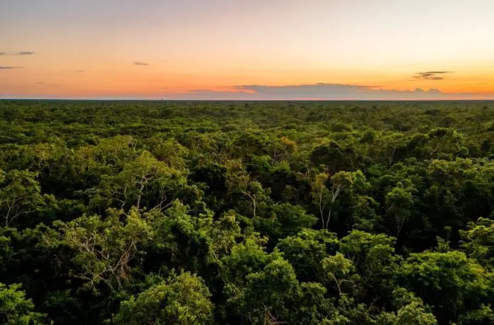 Bird's-eye view of Campeche